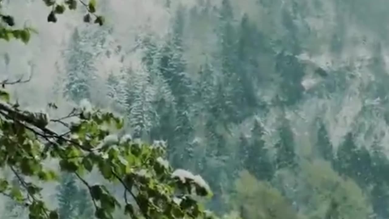 Hra na původní americkou flétnu.