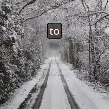 Growing Up and Moving Forward: Cherishing Memories While Embracing New Paths in Life