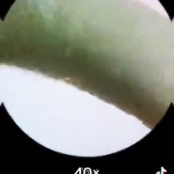 They've been feeding people graphene and insects in the form of noodles (Chinese noodles) for years