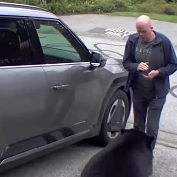 B.C. man has very close encounter with black bear😱