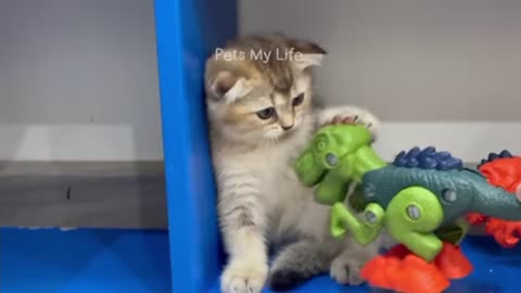 Cat and dog funny video 😄😆😅😄🤣🤣//#viral