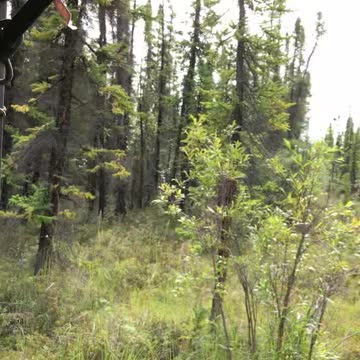 Still heading my property So of Glennallen, Alaska