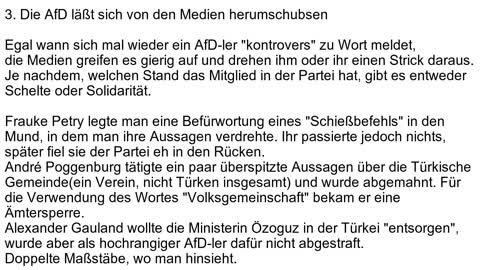 Warum man die AfD als Patriot nicht wählen sollte!