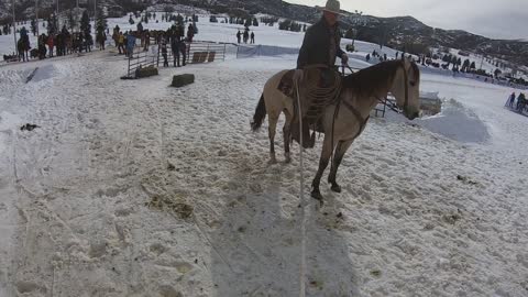Horse Drawn Ski Slalom
