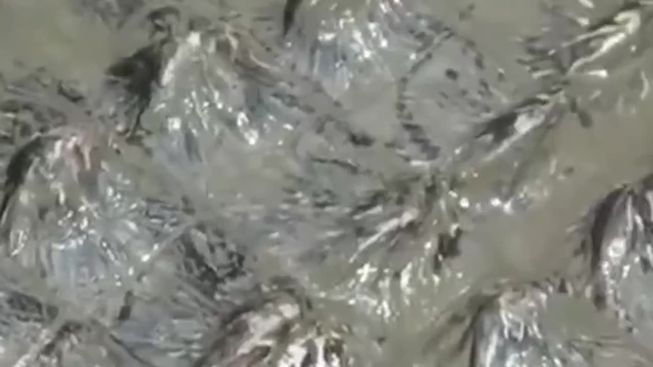 Is this a strange mountain range ?