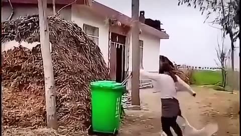 Baby fight duck