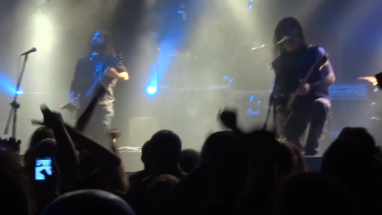 Party videos