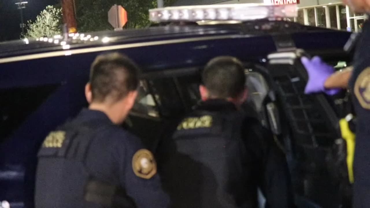 LADY RISTING POLICE DURING ARREST