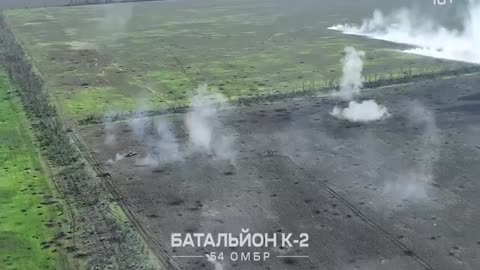 Ukrainian Artillery Shelling Russian Positions in the Treeline