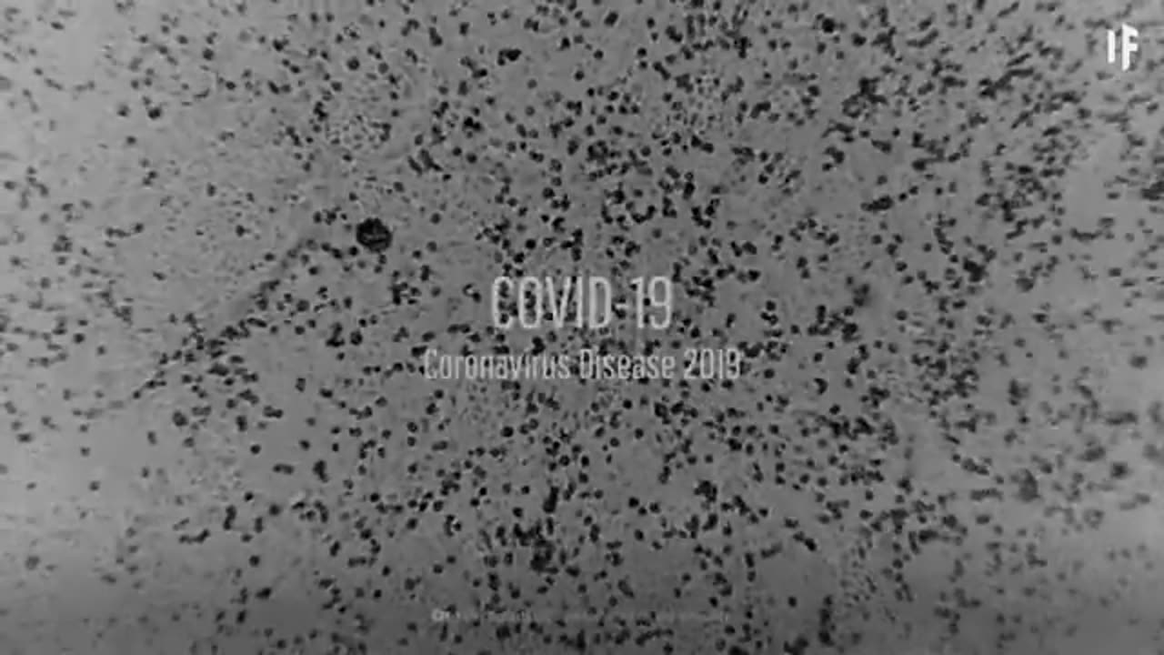 What Happens If You Get Covid-19?