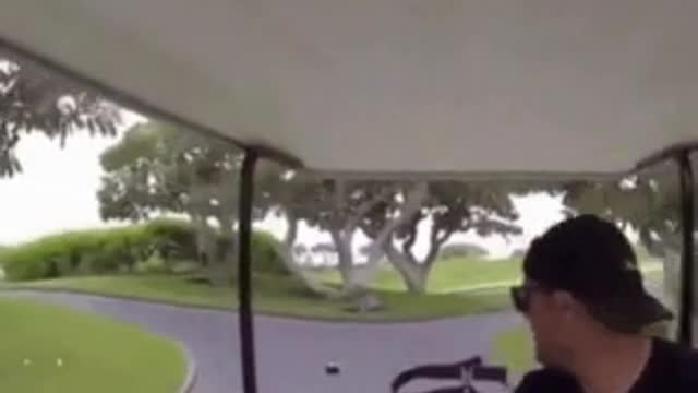 Golf cart crash