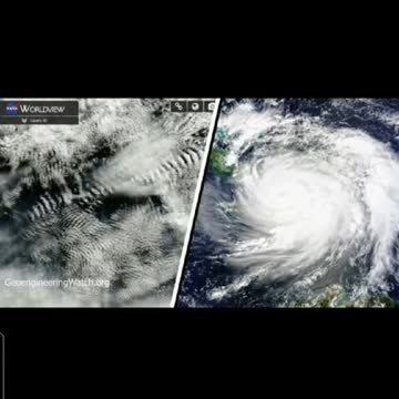 Surely they have family down here on the ground?