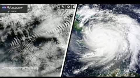 Surely they have family down here on the ground?