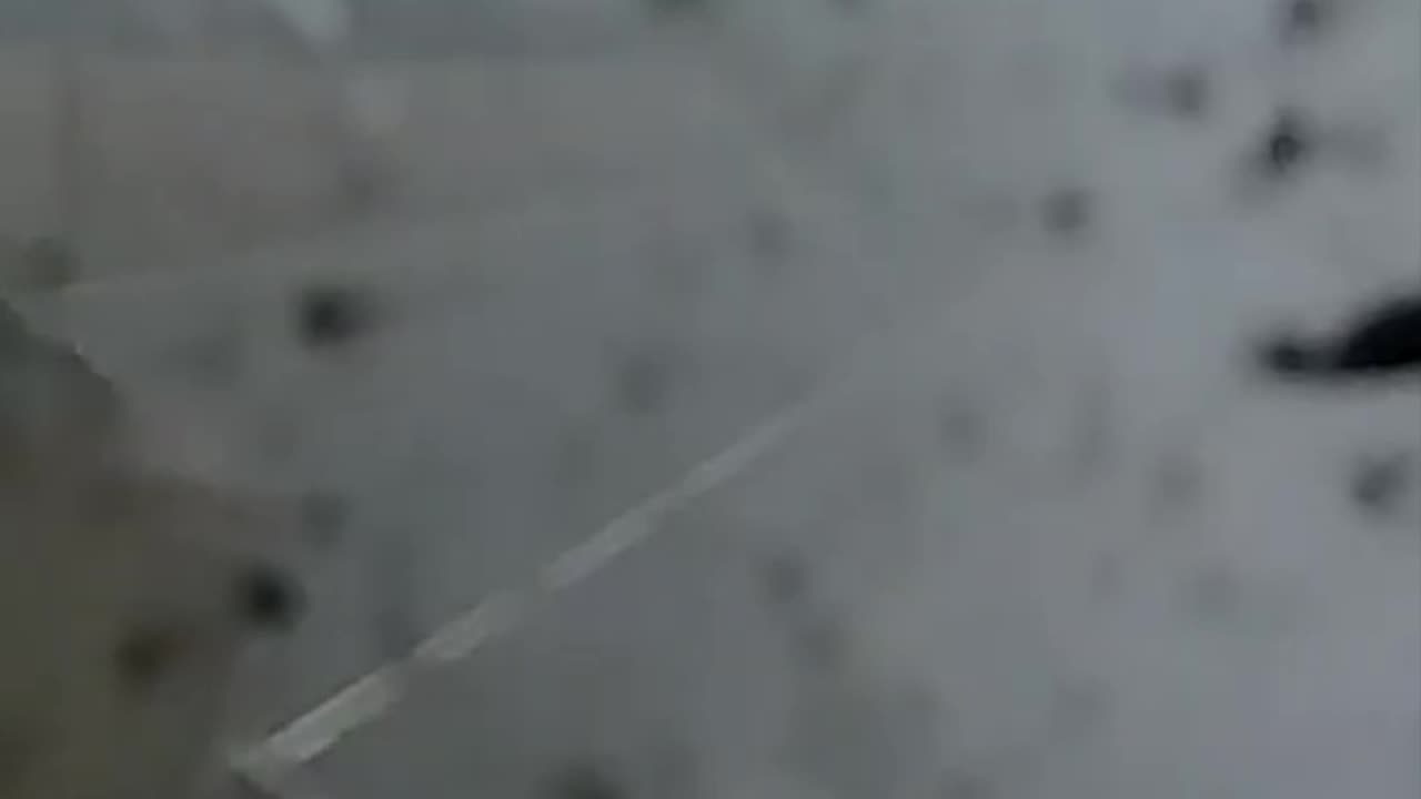 Wrong Way Driver Crash