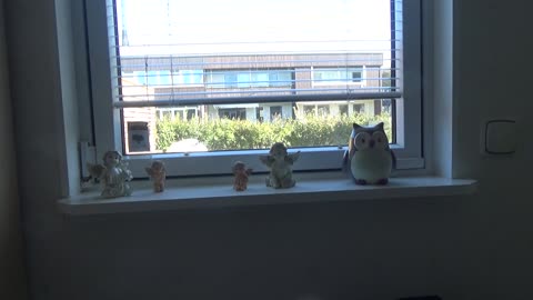 Brev från en klok tittare