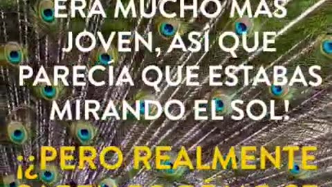 ¿Cuál es tu idea de cómo es Dios? ¡Preguntas cristianas más comunes!