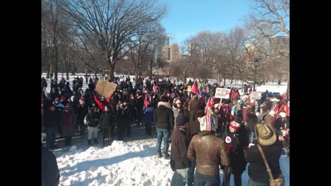 Large Toronto freedom gathering at Queen's Park, February 5, 2022