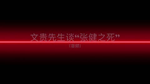 20190425文贵先生语音：谈“张健离世”-00.00.14.23-00.09.28.14