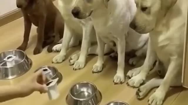 Hey...i'm third!!🤣🤣