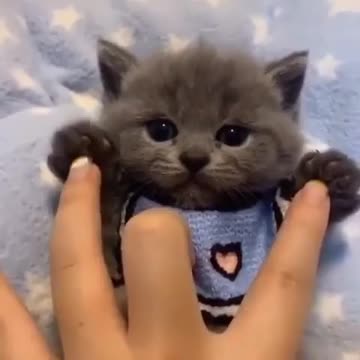 So_adorable🥰Caption_this_moment_and_tag_3_friends_in_comments_😇❤️.