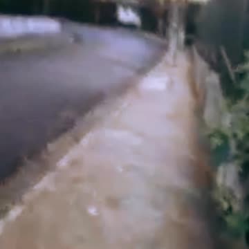 2013 - Zona Norte Horto Florestal Bancários - sexta feira 03 de agosto - 12