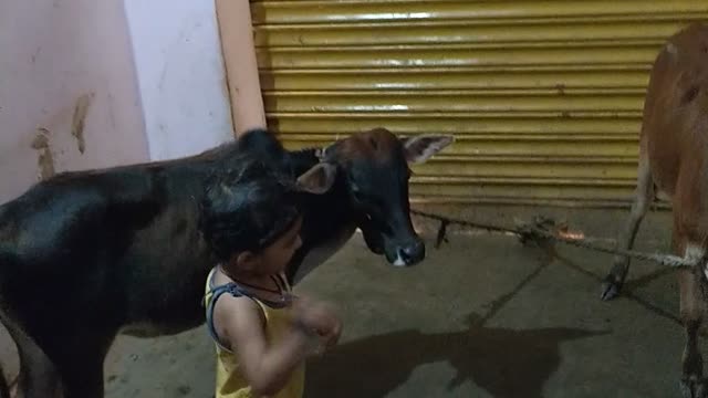 Watch Popular Kids manya baby Story 'Cow' for Kids - Check Out Children's played, Fairy Tales