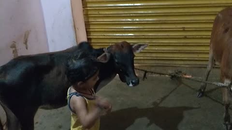 Watch Popular Kids manya baby Story 'Cow' for Kids - Check Out Children's played, Fairy Tales