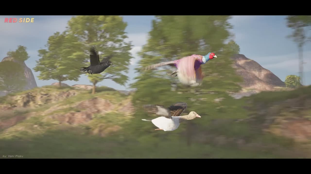 SPEED COMPARISON 3D | Birds 🦅