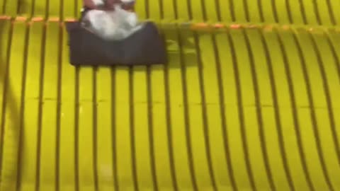 Pup on a slide!