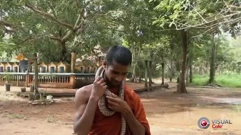 Snake with monk love