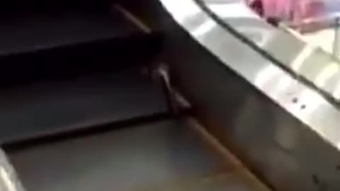Escalator funny video cat😂