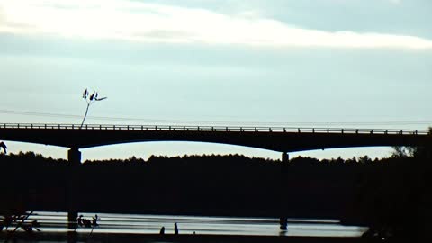 Bridge
