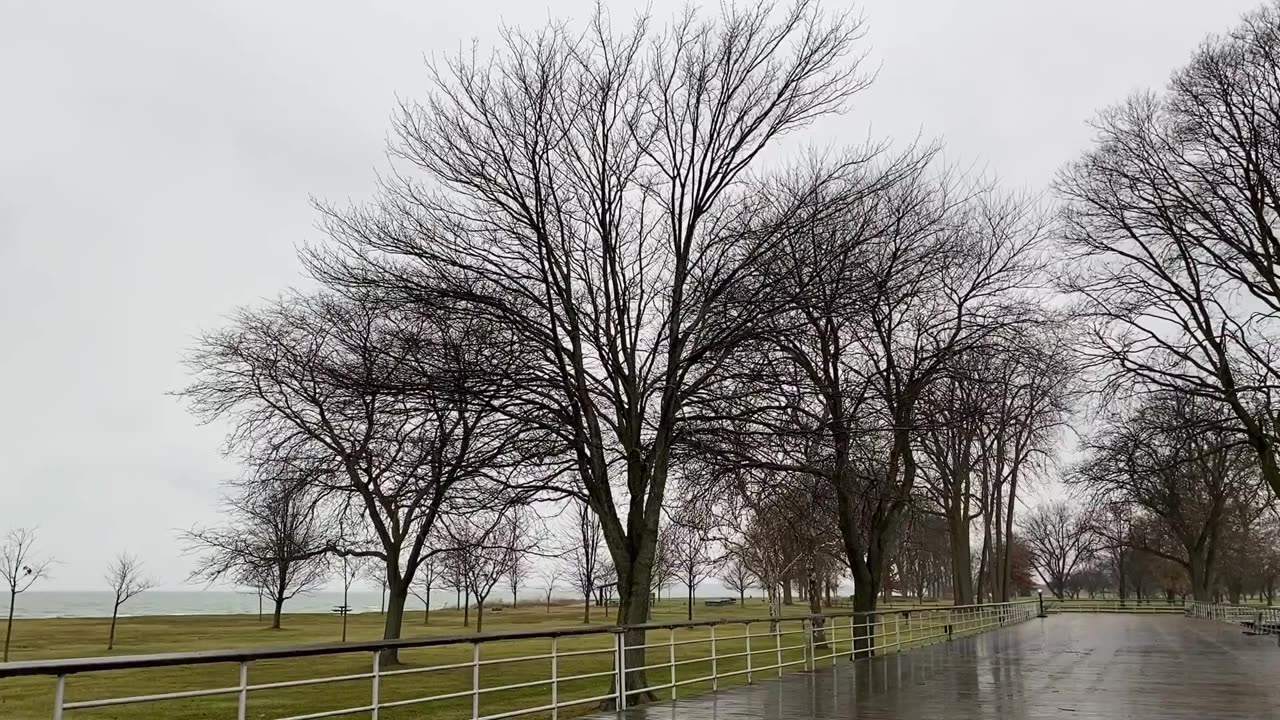 Fall Rainy Windy Day Magic on the Lakeside Boardwalk 🍂🌧️🌲