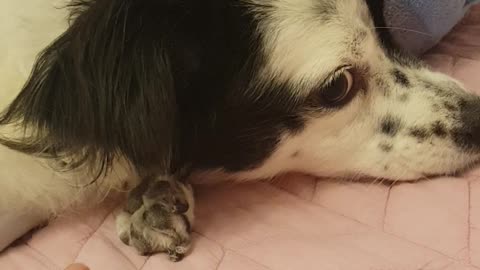 I can't give you the ball.