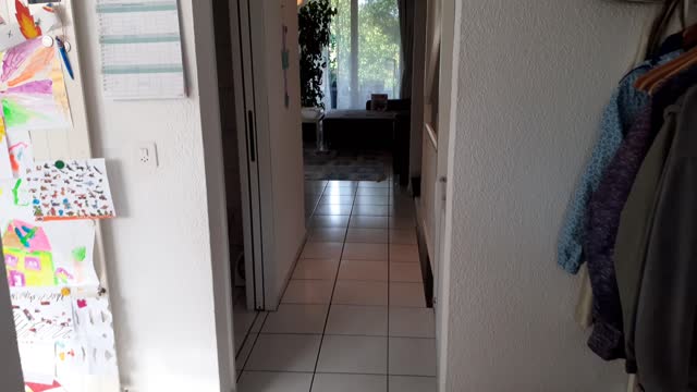 REFH Bächli Bassersdorf Erdgeschoss