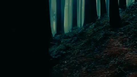 GM Relaxation - Music #shorts #nature #status