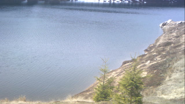 Manastirea Oasa, 2022