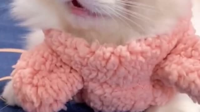 What are you doing, acting like a baby?