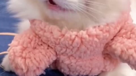What are you doing, acting like a baby?