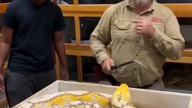 Throwback to a crazy egg pulling 😱😱😱😱