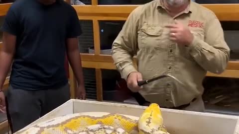 Throwback to a crazy egg pulling 😱😱😱😱