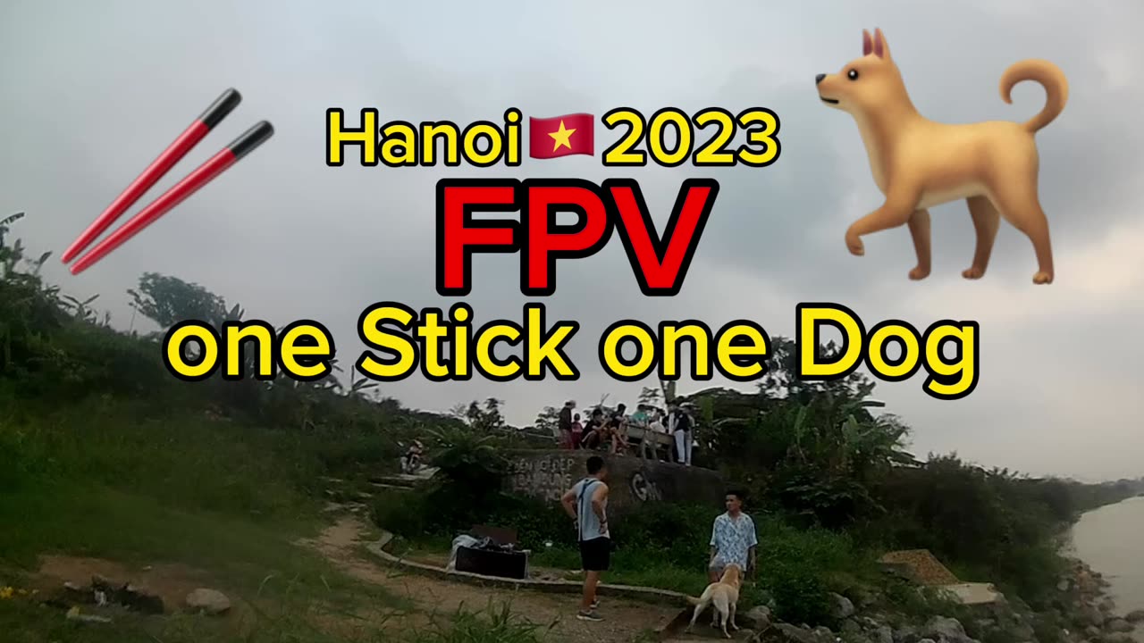 one Stick one Dog🇻🇳 #FPV#Hanoi#CapCut#Moststable#drone#Vietnam#dog#Longbien#2023