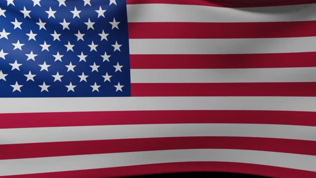 Flag of the USA