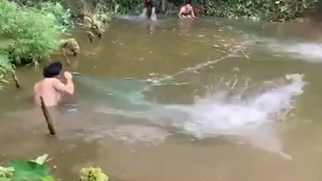 New ways to catch fish