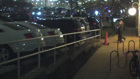 1669HQOB01SouthwestWalkway_2021-01-06_21h30min15s597ms.mp4