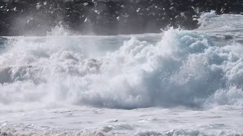 Mason Ho At The Wedge 2021-3