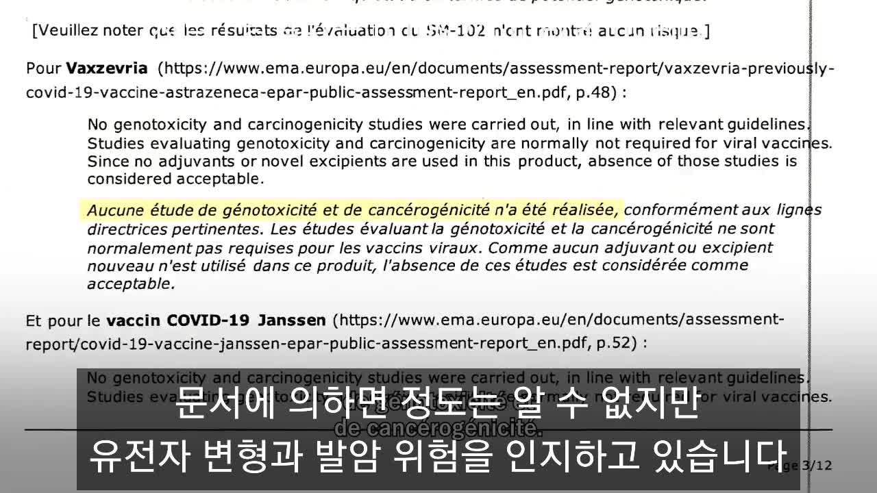 몽타니에 박사와 함께 룩셈부르크 의회에 초대되어 증언