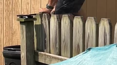 #spidermonkey