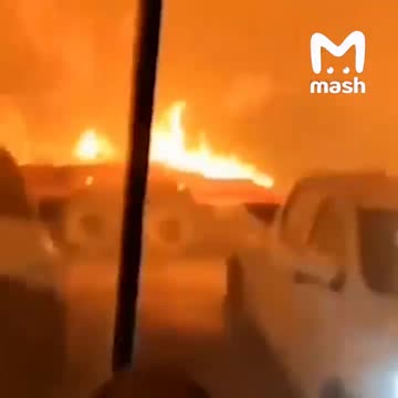 Looks like Latin America it’s your turn for arson fires