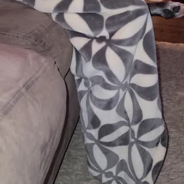 Whose leg is it anyway?